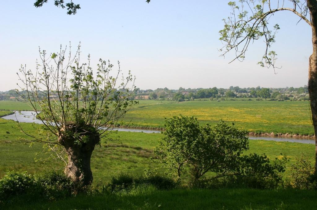 Gite Marguerite Les Moitiers-en-Bauptois Экстерьер фото